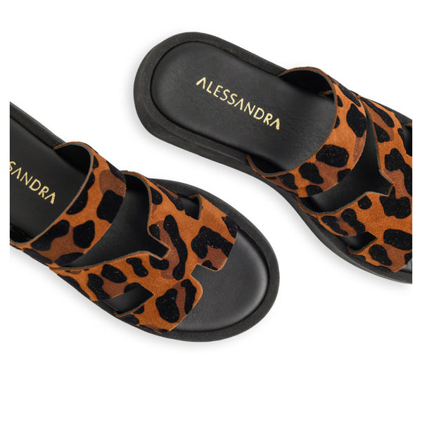 Velia || Leopard