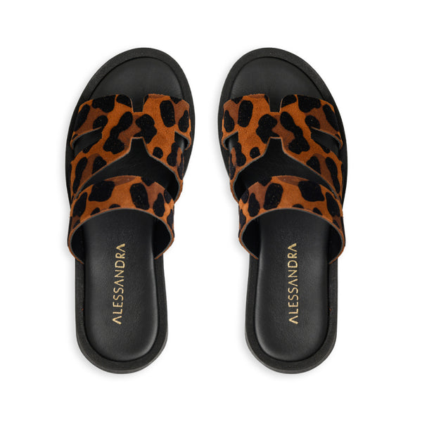 Velia || Leopard