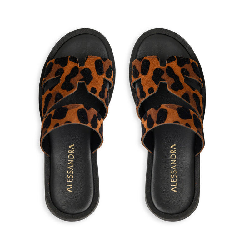 Velia || Leopard